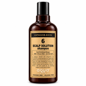 Aq Ginger Shp No.6 500ml 2